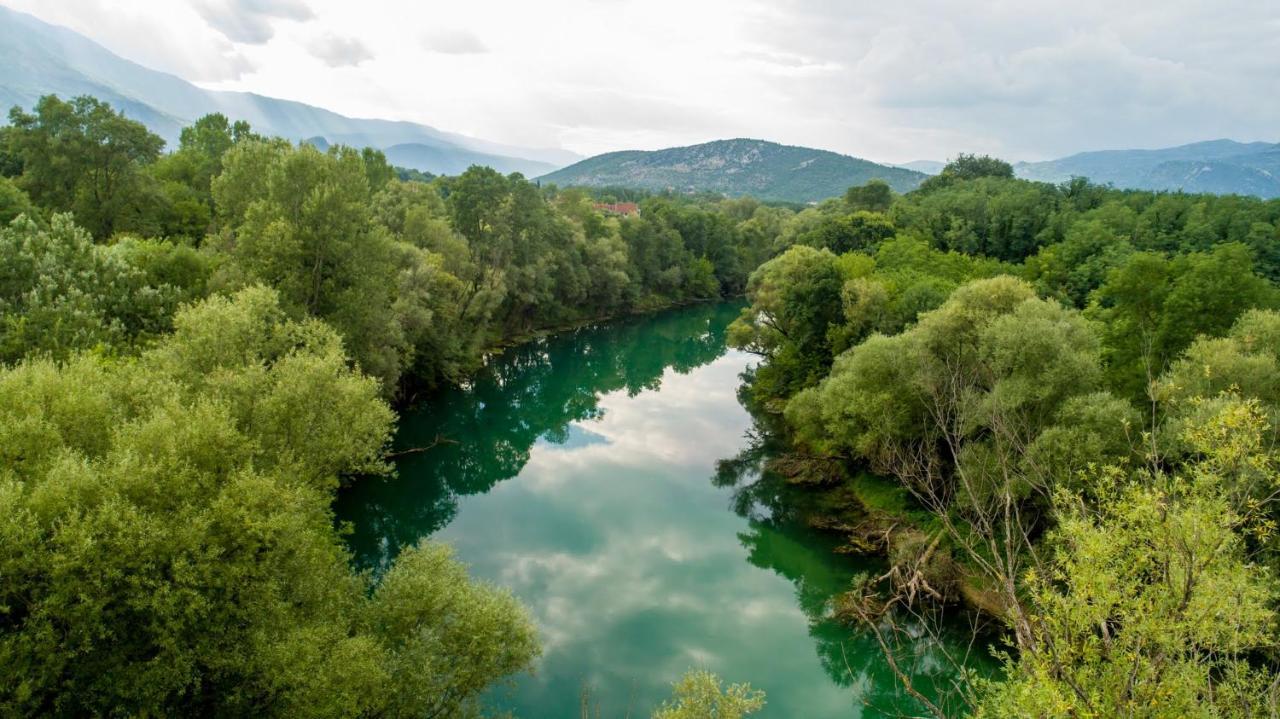Vila Andrea Danilovgrad المظهر الخارجي الصورة